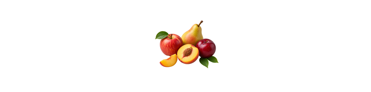 Fruits du Verger